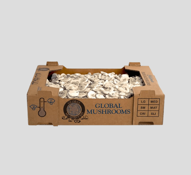 Mushroom Packaging Containers.png